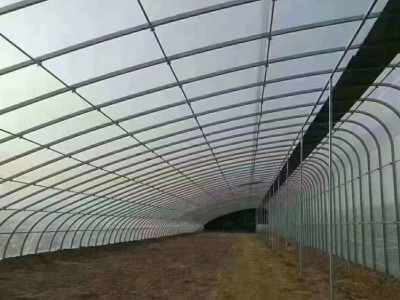 镀锌大棚管 农业建造工程管材 耐腐蚀 折弯大棚镀锌管图2
